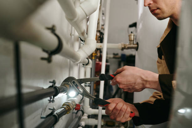 Best Septic Systems  in Carlisle, IA