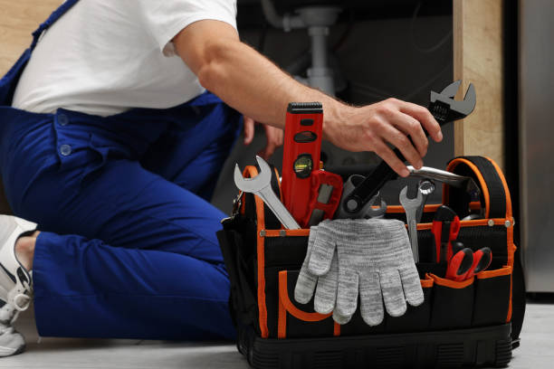 Best Residential Plumbing Services  in Carlisle, IA