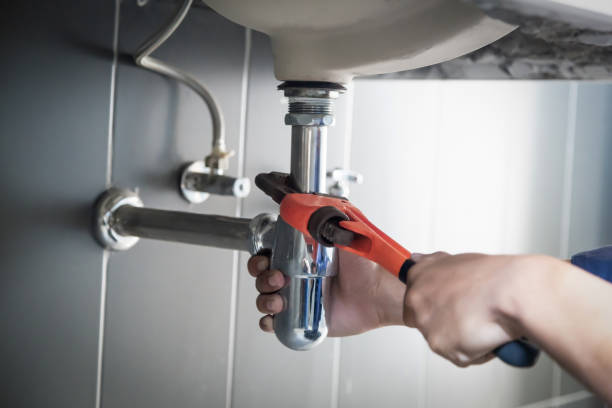 Best Shower Repair Services  in Carlisle, IA