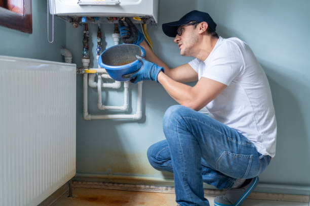 Best Affordable Plumbing Services  in Carlisle, IA