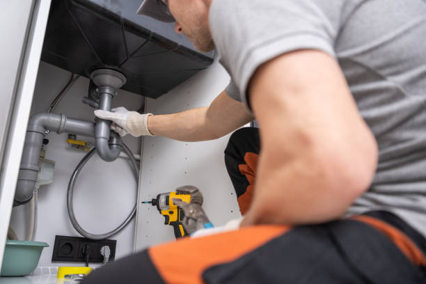 Best Affordable Plumber Near Me  in Carlisle, IA