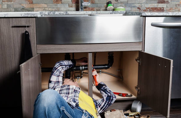 Best Local Plumber Services  in Carlisle, IA